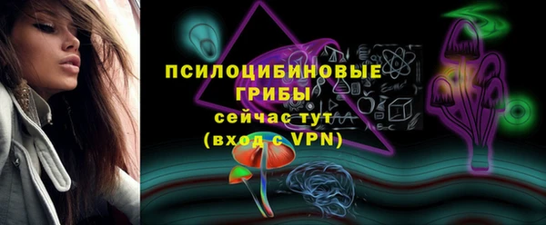 шишки Волоколамск