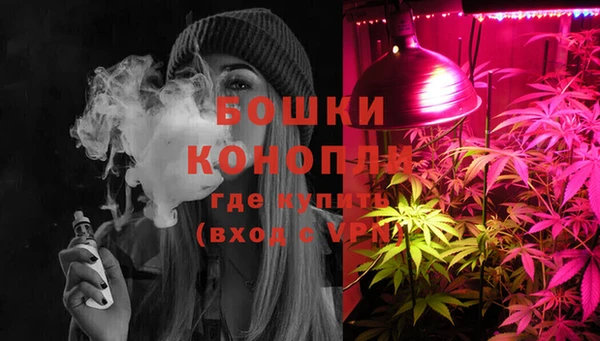 шишки Волоколамск