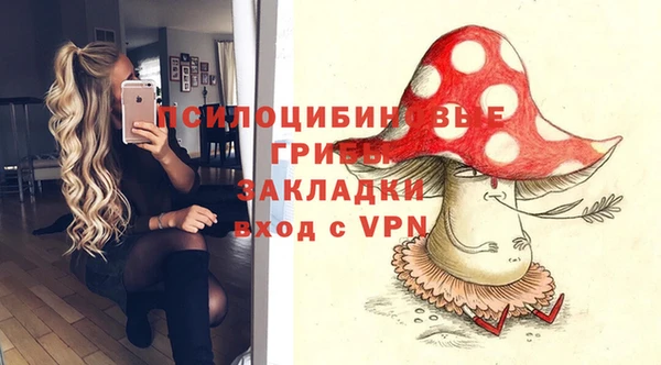 гашиш Сосновый Бор