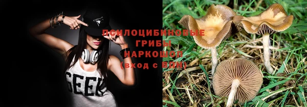 не бодяженный Володарск