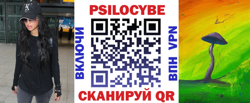 Галлюциногенные грибы мухоморы  Дмитриев 